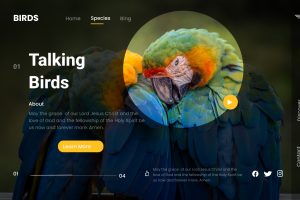 Peter Wainaina_Web Design Page